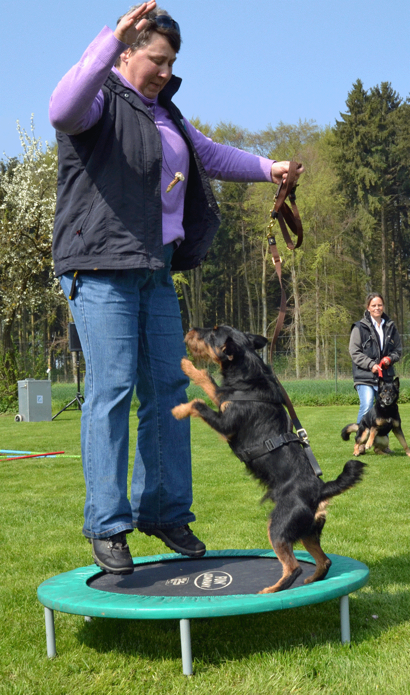 Andrea Pikus Trampolin