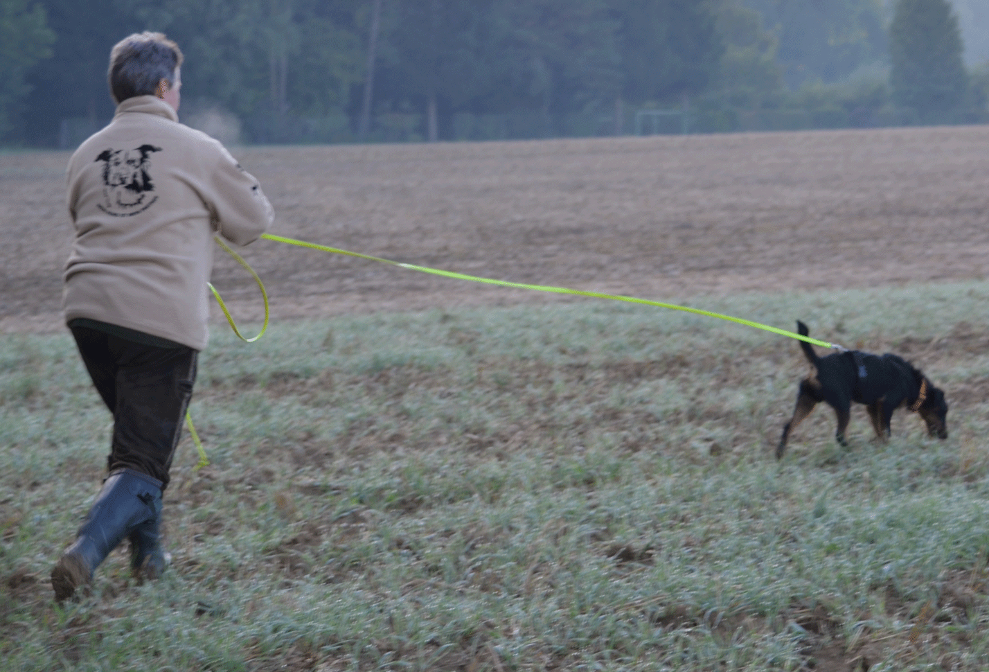 Deutscher Jagdterrier Pikus beim Fährten